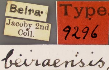 Media type: image; Entomology 9296   Aspect: labels